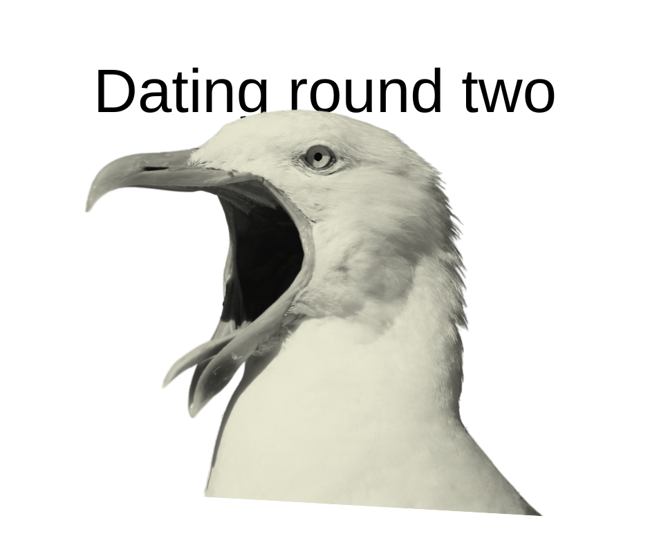 Dating Round Two - A squawking seagull head